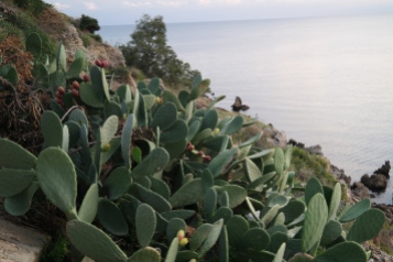 Santacinnara Agriturismo in Calabria sulla costa ionica