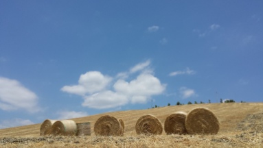 Santacinnara Agriturismo in Calabria in collina vicino al mare